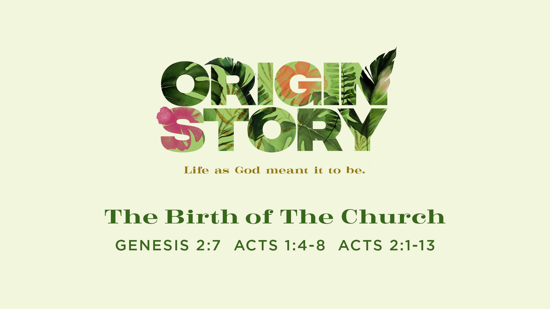 Origin Story: The Birth of the Church