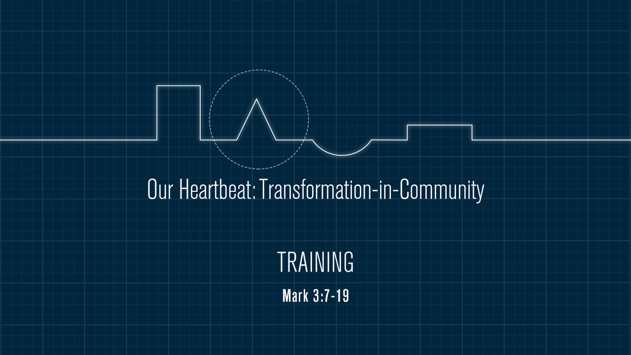 Our Heartbeat: Transformation-in-Community / Training