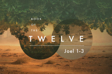 Book of the Twelve
