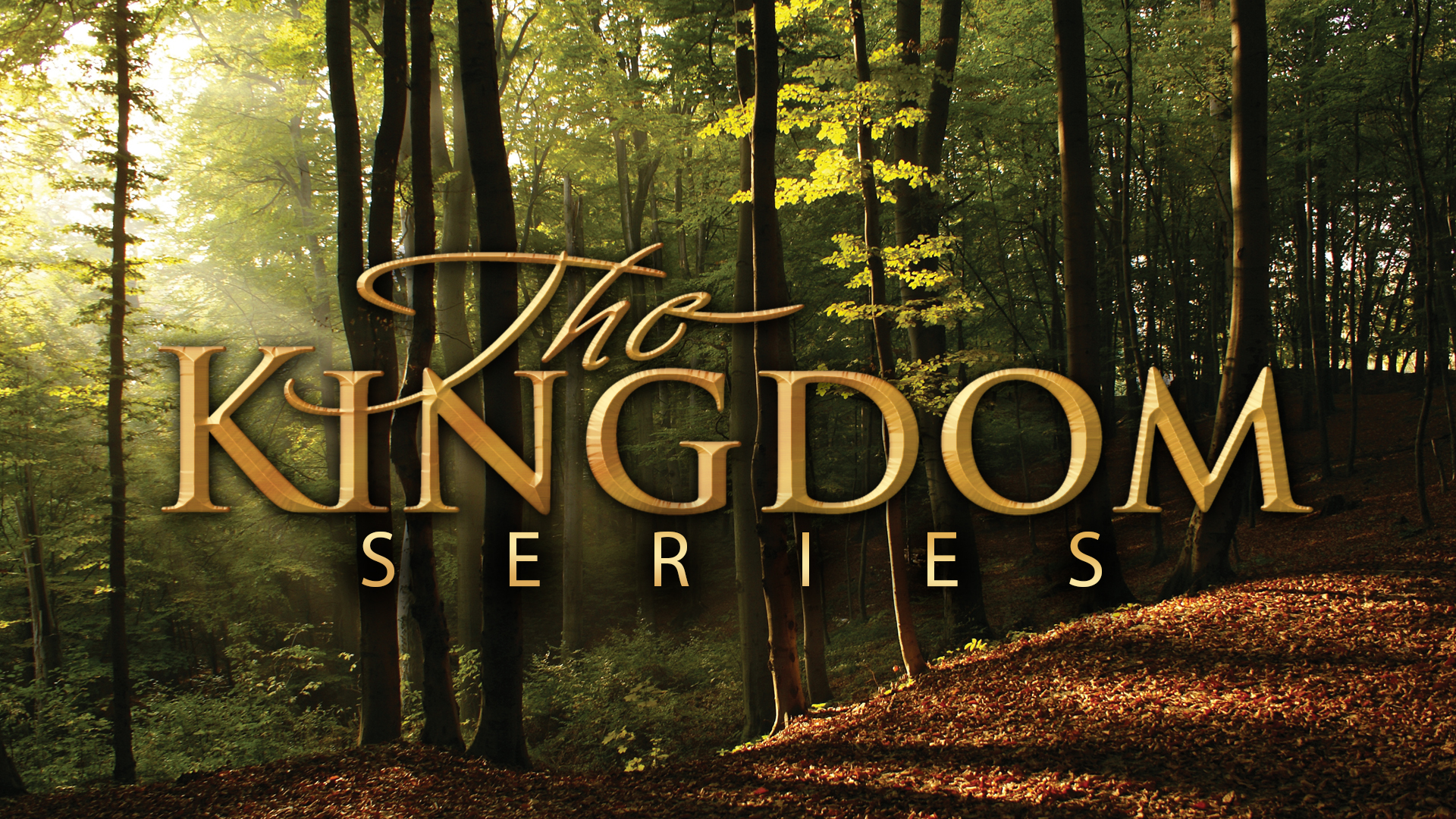 The Kingdom Series